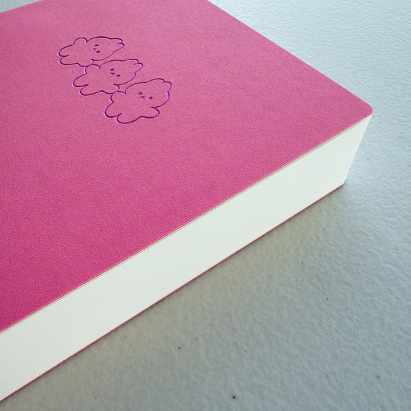 TN Standard Size Tomoe River Paper Chunky Journals