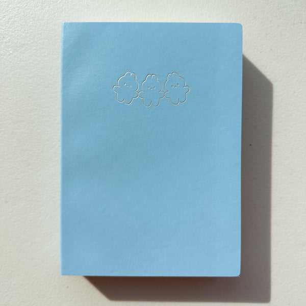 B6 Size Tomoe River Paper Chunky Journals